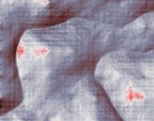 neu frisur sarah conner