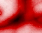 www frisur