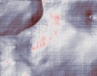 frisur software