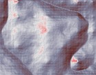 schamhaar frisur